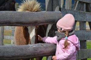 4b3acb4b-8bac-4e70-aa52-eecaeda79bd0